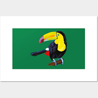 Toucan illustration Posters and Art